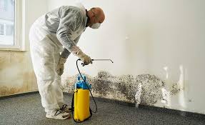  Dunmore, PA Mold Removal Pros